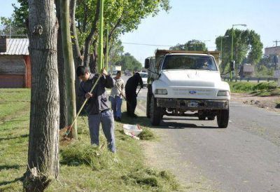 El Municipio de Campana avanza con el Programa de Limpieza y Mantenimiento de Barrios