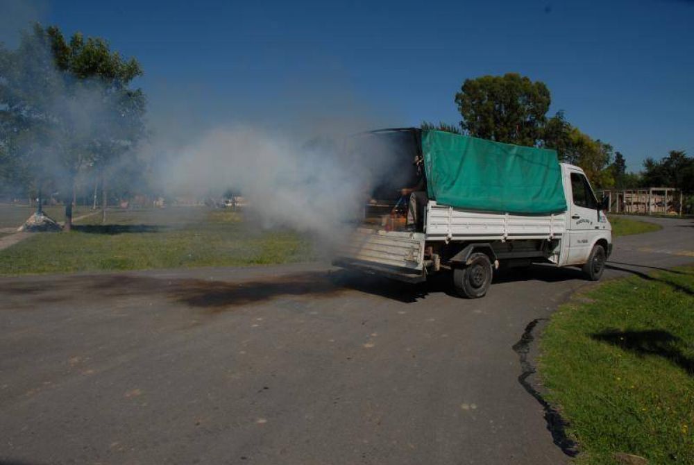 Fumigan contra el dengue 