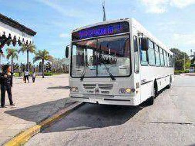 Tigre ya cuenta con su propia l�nea de colectivos