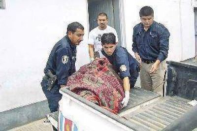 Habr�a sido asesinado y fue devorado por sus propios perros