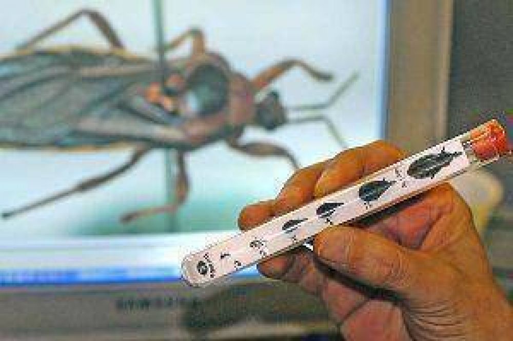 Un medicamento contra el Chagas elaborado en el pa�s ya est� disponible