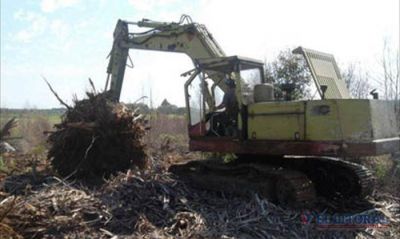 Municipio obligado a pesificar cuota de 50 mil d�lares para pagar un inmueble