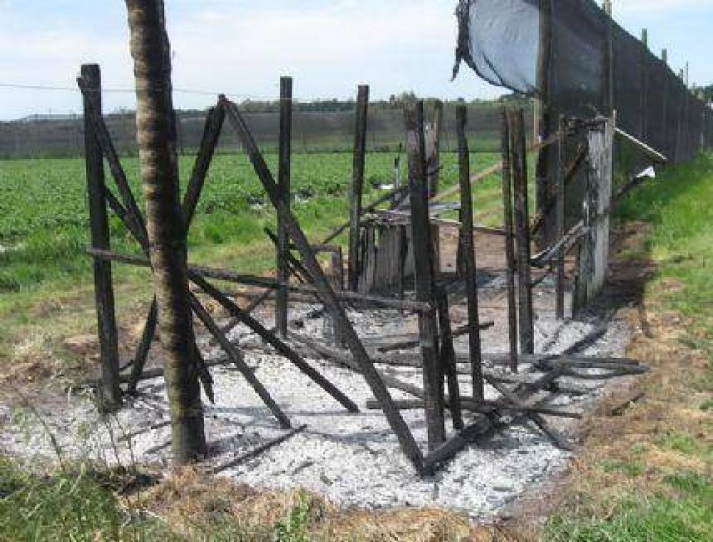 P�rdidas millonarias tras atentado a la empresa �El Frutillar�: rompen e incendian casillas y una cisterna y destruyen el sistema de riego