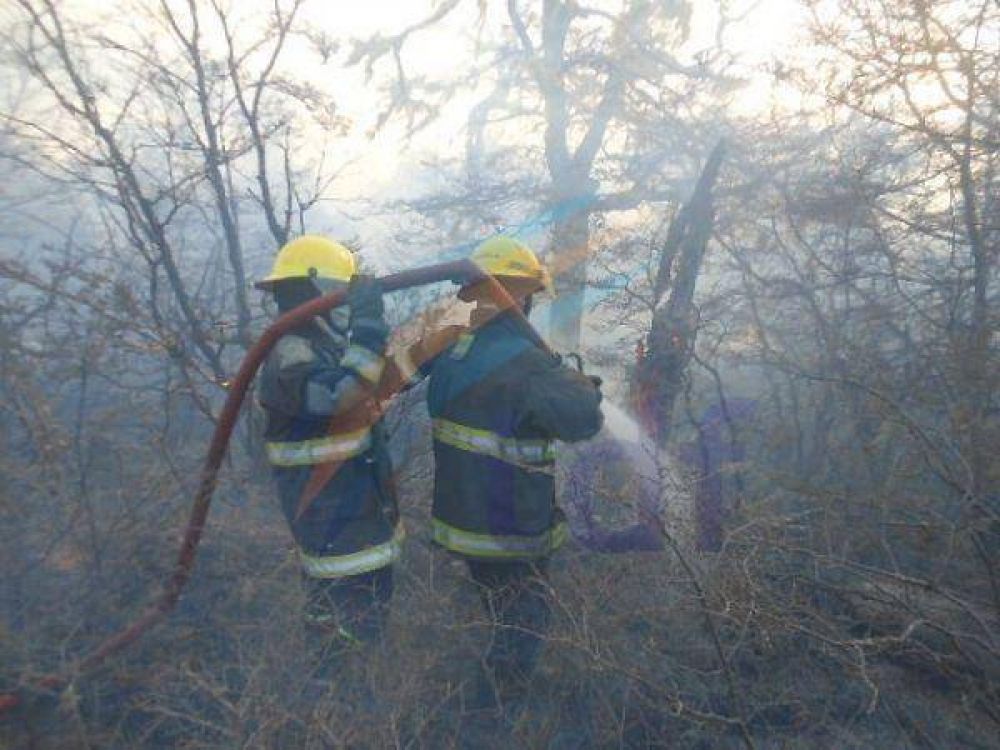Menor inici� un incendio forestal en inmediaciones de Tolhuin