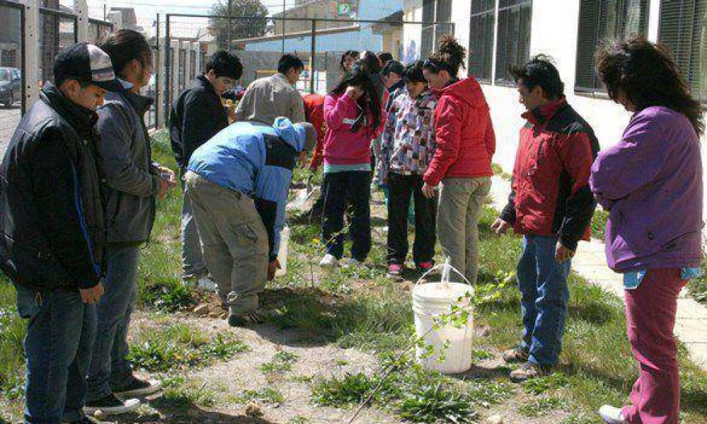  Plantaron �rboles en distintos lugares