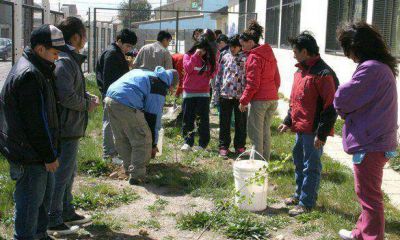  Plantaron �rboles en distintos lugares