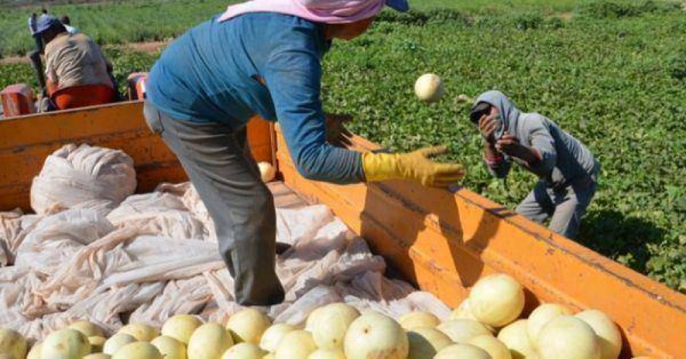 Peque�os productores hort�colas celebran la asistencia del estado