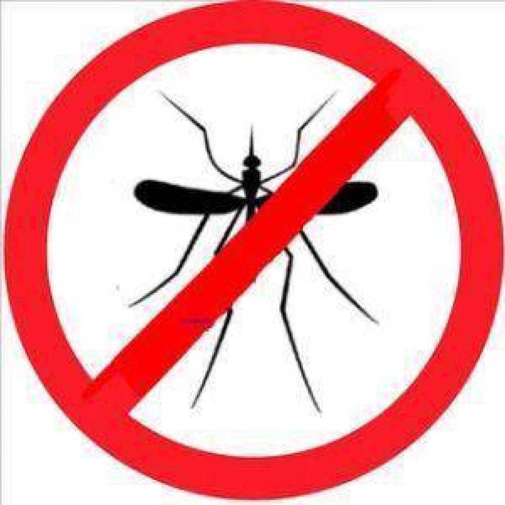 Buscan disminuir la poblaci�n de mosquitos con capacitaci�n