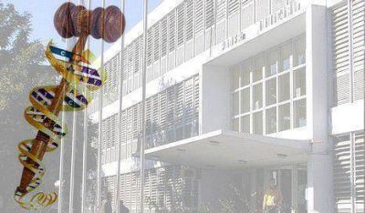 Paternidad y herencias: aumentan pedidos de an�lisis de ADN