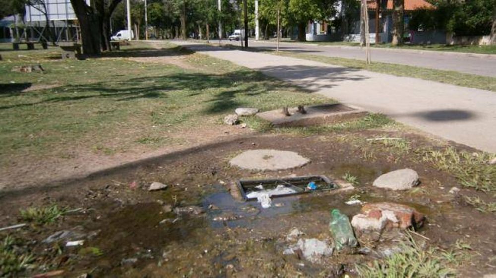 Hoy comienza en 600 viviendas el monitoreo de mosquitos y larvas