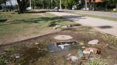 Hoy comienza en 600 viviendas el monitoreo de mosquitos y larvas