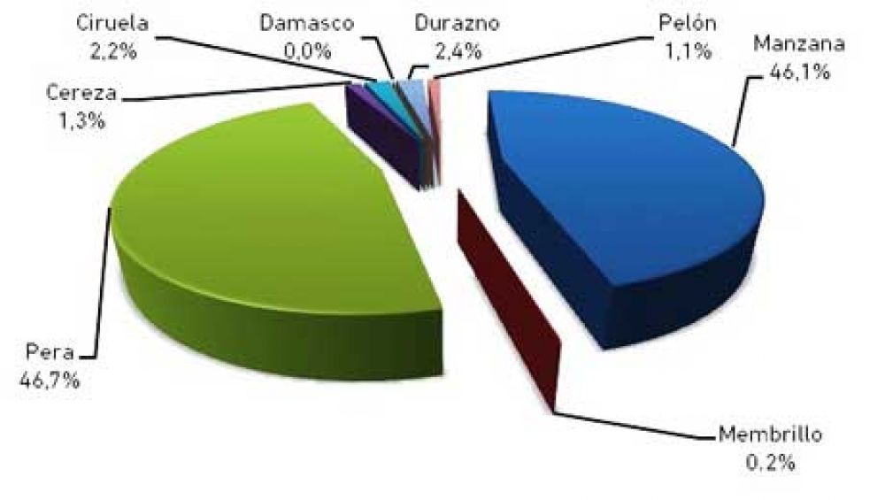 En R�o Negro y Neuqu�n hay 50.993 hect�reas declaradas de frutas de pepita y de carozo