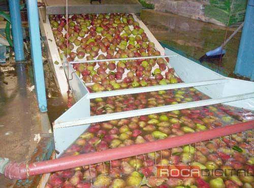 Reclaman por la fruta "entregada"