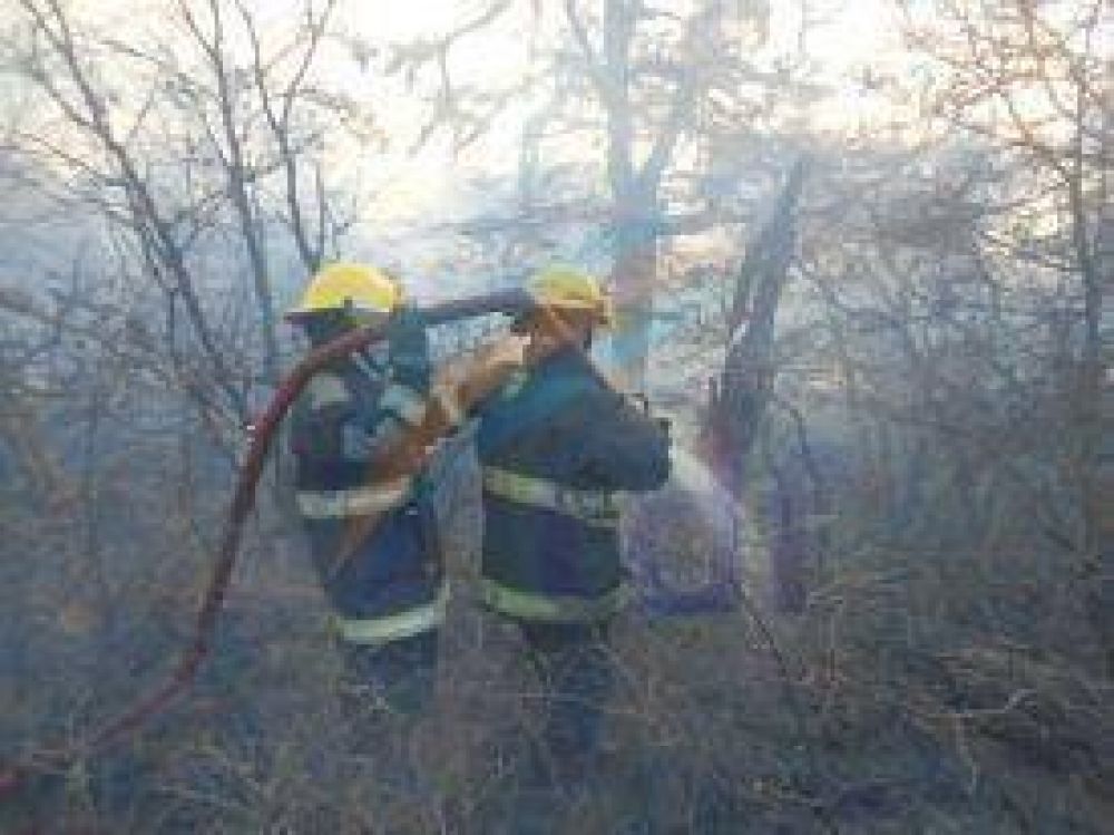 Menor inici� un incendio forestal en inmediaciones de Tolhuin