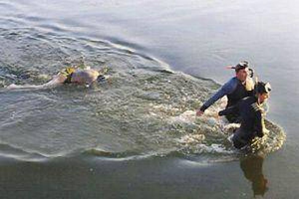Fue a pescar y encontr� un cad�ver flotando en el Dulce