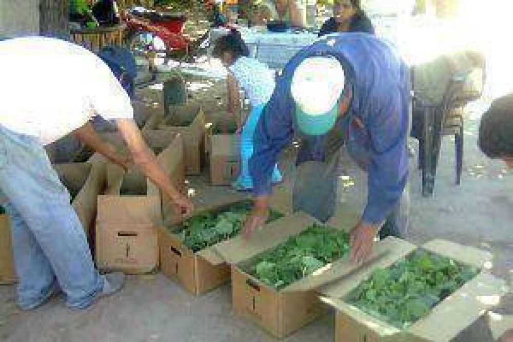 En El Aibe apuestan fuerte a los cultivos no tradicionales 