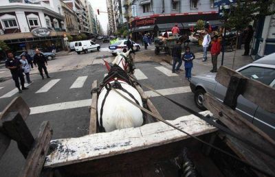 Sin caballos de fuerza