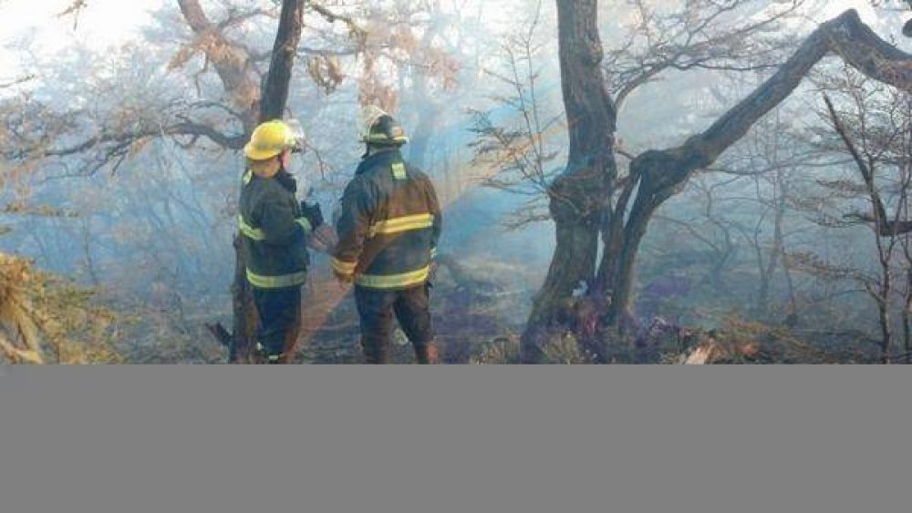 Fue controlado el incendio y multar�n a los padres del menor que lo ocasion�