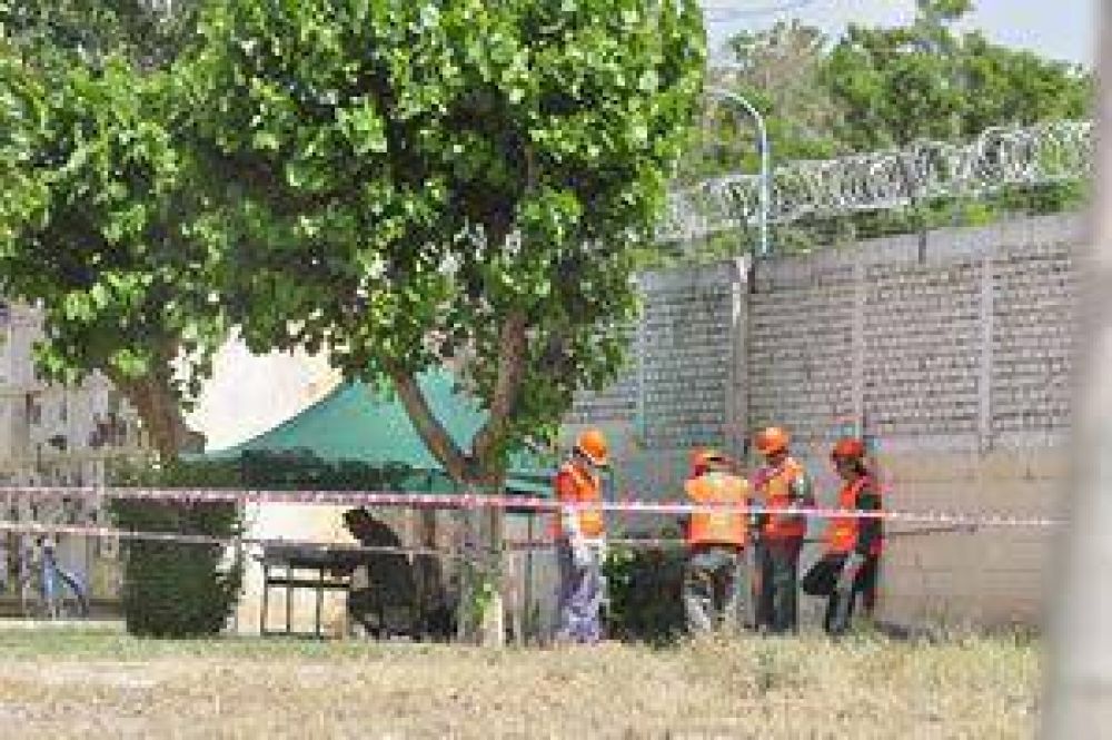  El proceso de identificaci�n durar� un a�o
