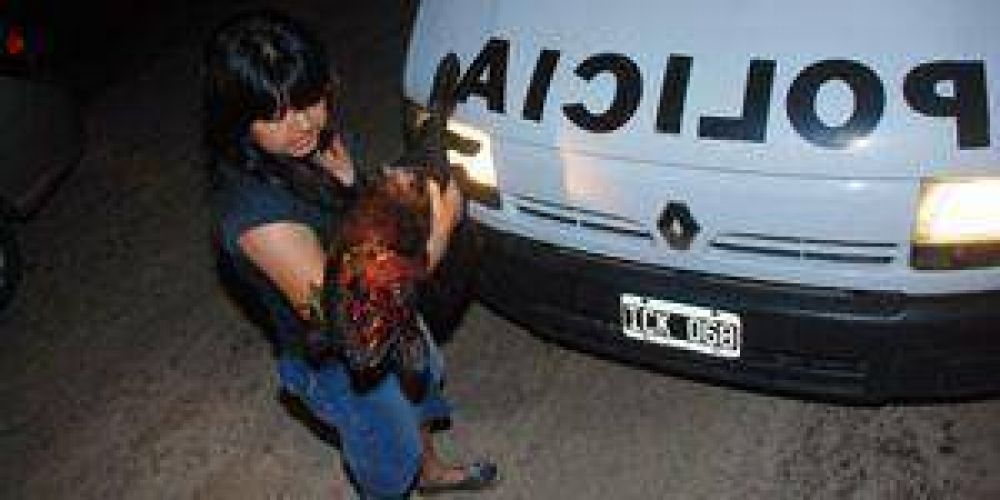 Radicaron denuncia por violencia contra animales
