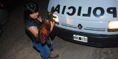 Radicaron denuncia por violencia contra animales
