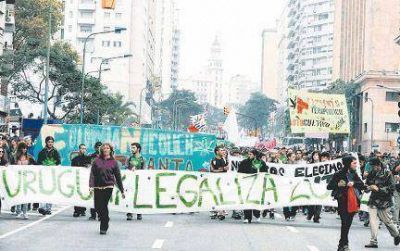 El Estado uruguayo entregar�a hasta 40 gramos de marihuana mensuales