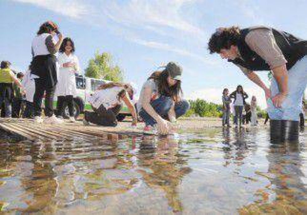 Liberan 5 mil alevinos en el Limay 