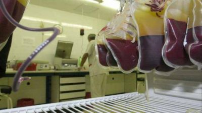 Con aporte de fondos de la Naci�n, crean dos tecnol�gicas