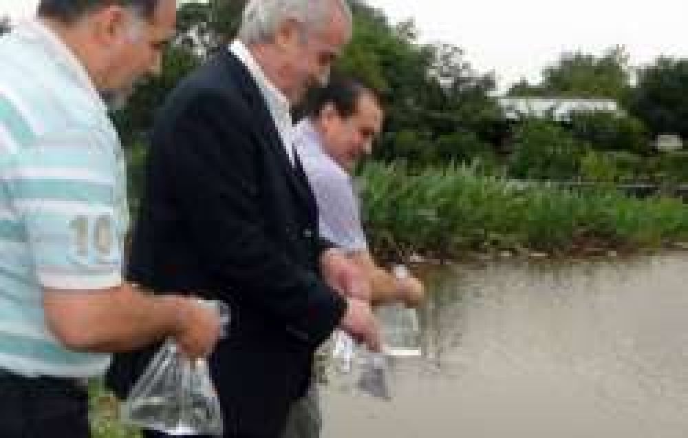 Dengue: Comenzó la siembra de peces en lagunas de Fontana