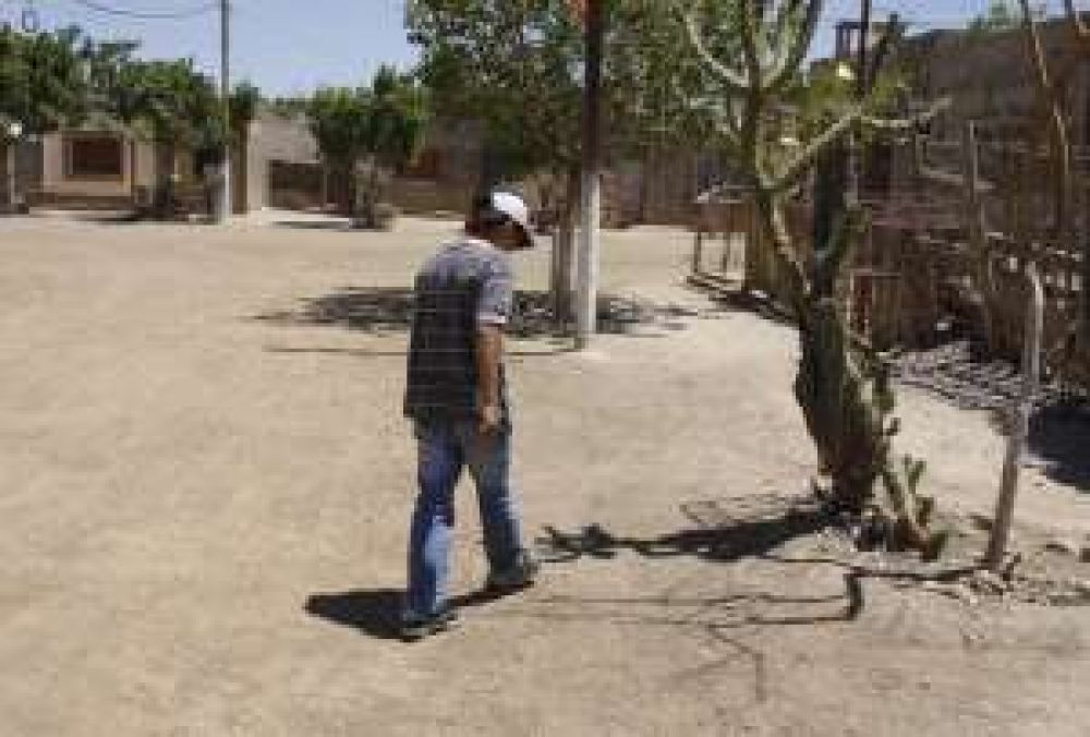 Una fiesta para hacer las veredas del barrio