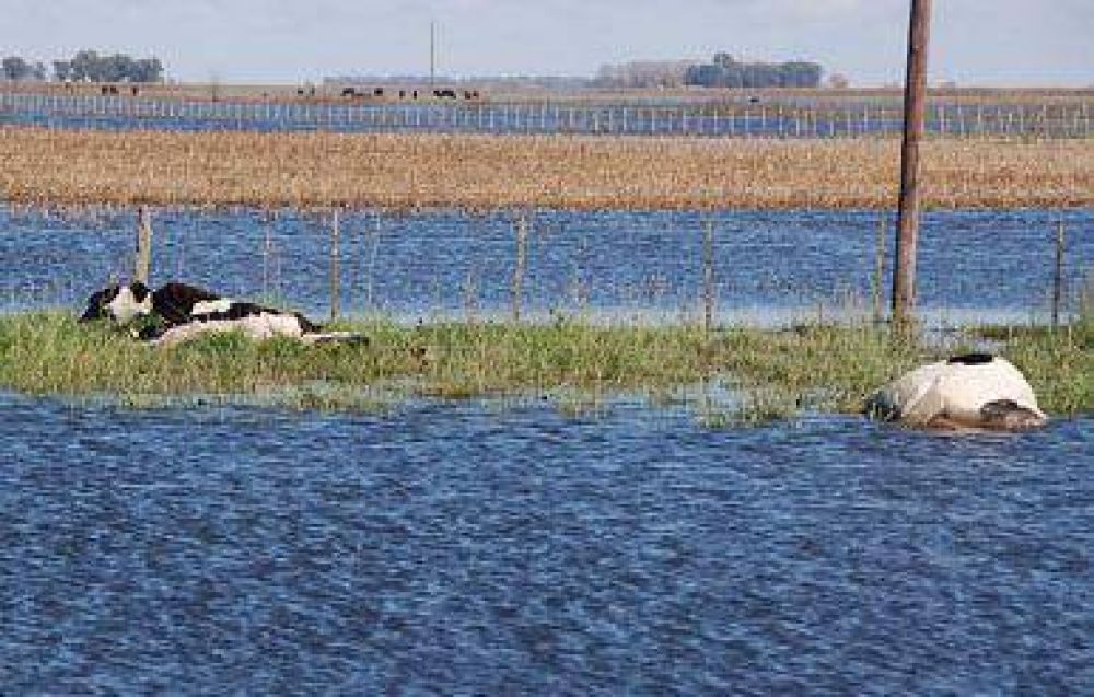 El avance del agua suma inconvenientes