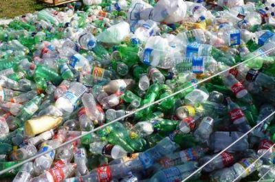 Tigre Recicla tuvo un empate esta semana