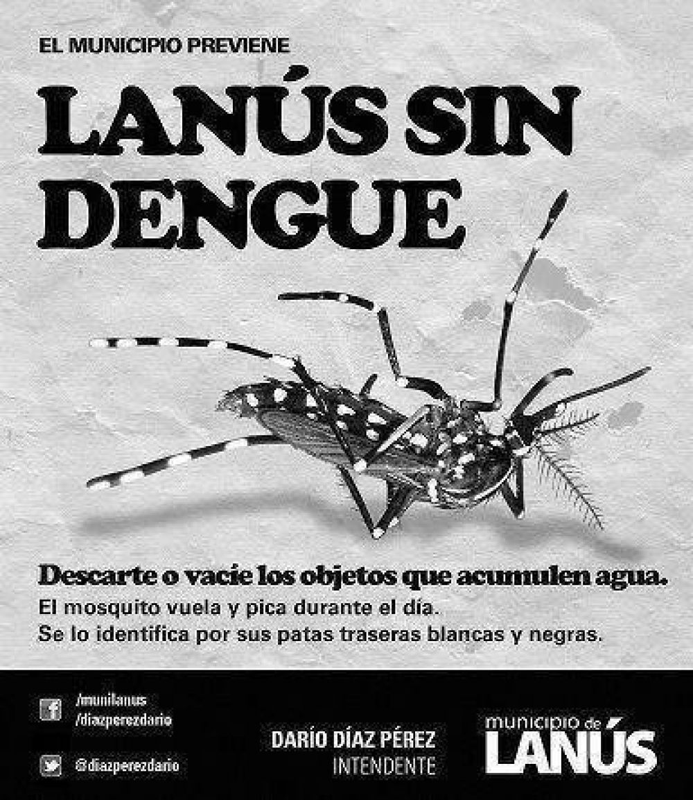 TODOS PODEMOS CONTRA EL DENGUE