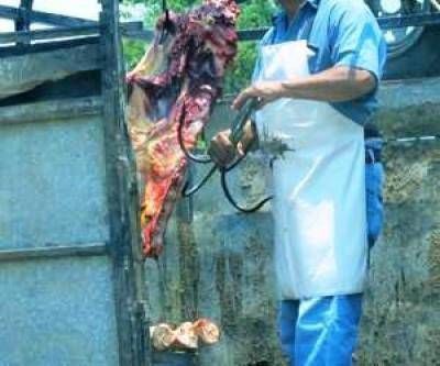  Denuncian por contaminaci�n a frigor�fico de Villa del Carmen 