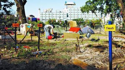 Ins�lita protesta: ponen una huerta en el Parque Centenario