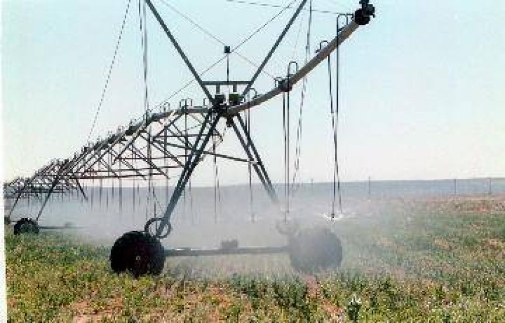 La producci�n cerealera ser� sin aporte estatal