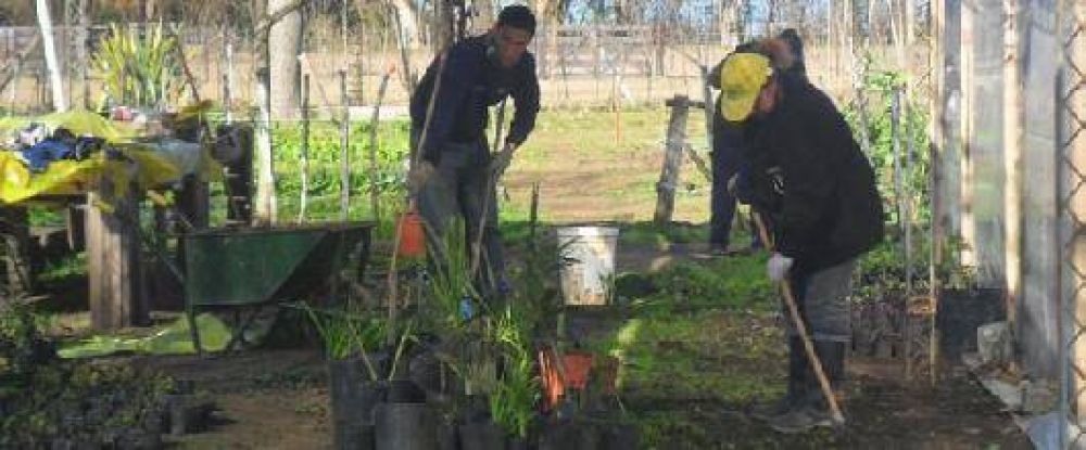 Los alumnos del Centro de Formaci�n Laboral har�n pr�cticas en el Vivero Municipal