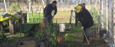 Los alumnos del Centro de Formaci�n Laboral har�n pr�cticas en el Vivero Municipal