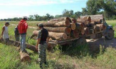 El Chaco acelera aplicaci�n del sistema de control de gu�as forestales �nicas para frenar la evasi�n