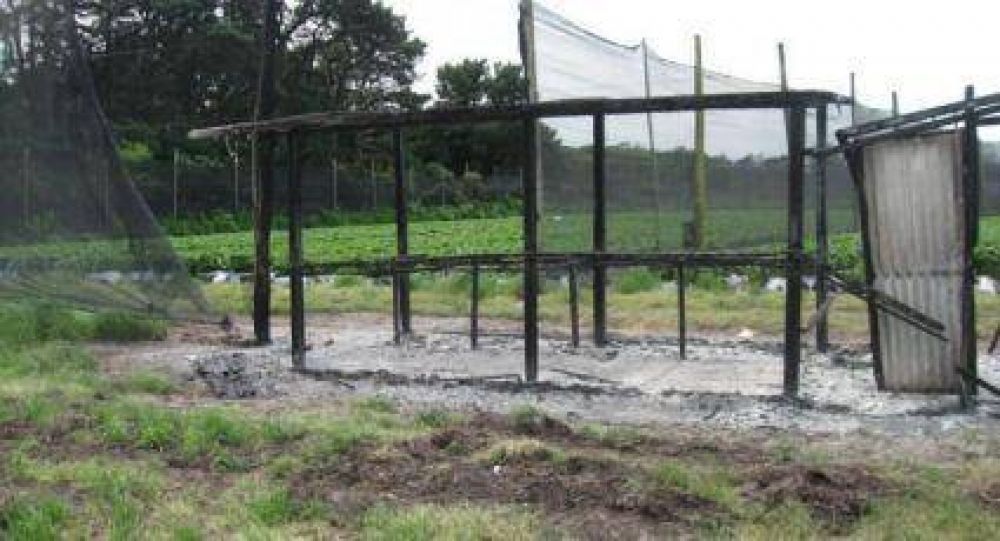 Repudian el atentado a un frutillar en Sierra de los Padres