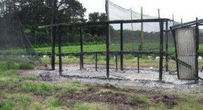 Repudian el atentado a un frutillar en Sierra de los Padres