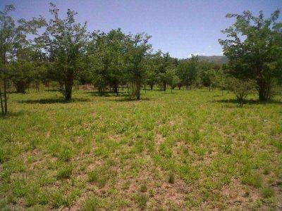 Intendentes buscan desalojar los lotes ocupados en Punilla 