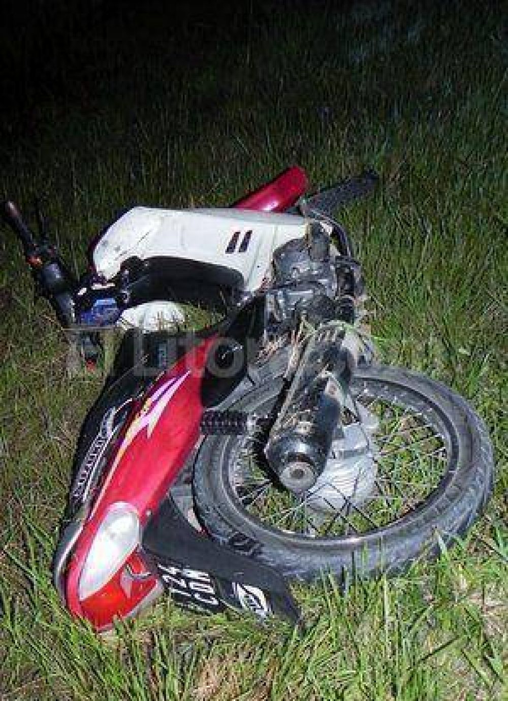 Muere un joven de 17 a�os tras impactar con caballos sueltos