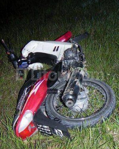 Muere un joven de 17 a�os tras impactar con caballos sueltos