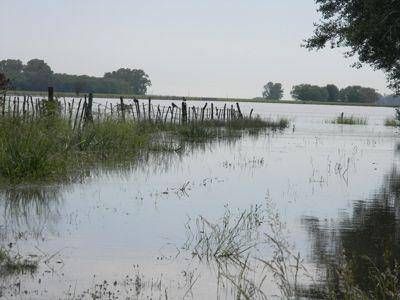 Informe provincial ubica a Chivilcoy entre los distritos m�s afectados por las lluvias