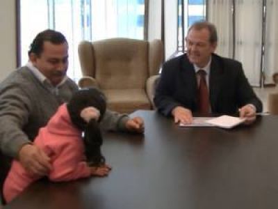 Readjudicaron trece viviendas a distintas familias
