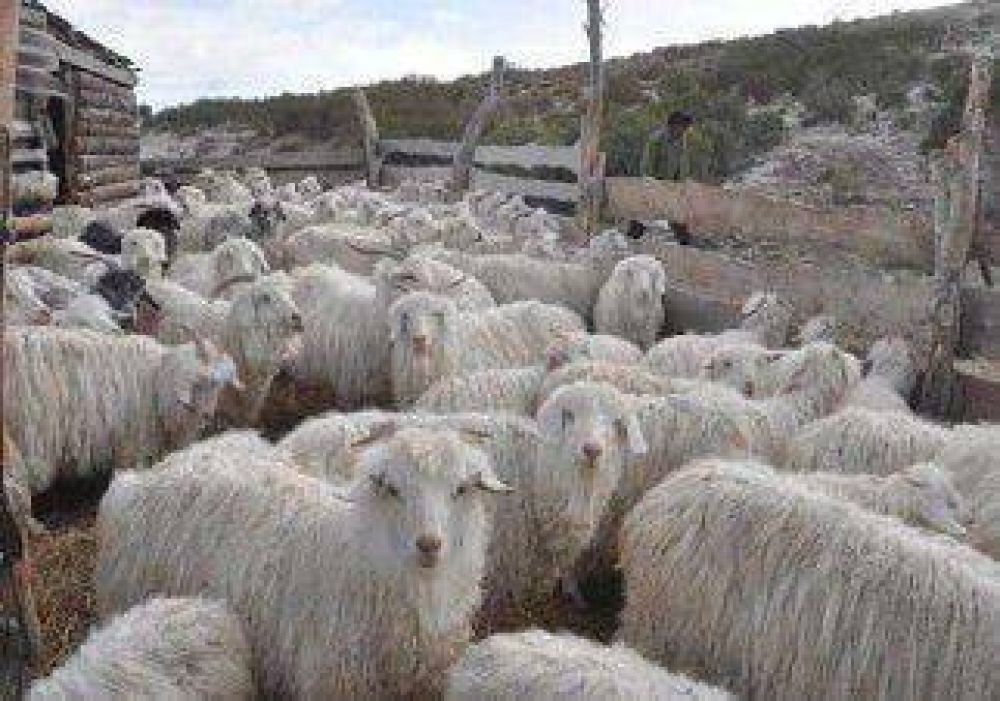 El Proderpa destin� en dos a�os $30,6 millones en la provincia 
