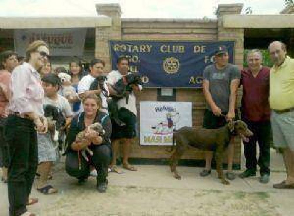 Rotarios brindaron atenci�n veterinaria gratuita en barrio
