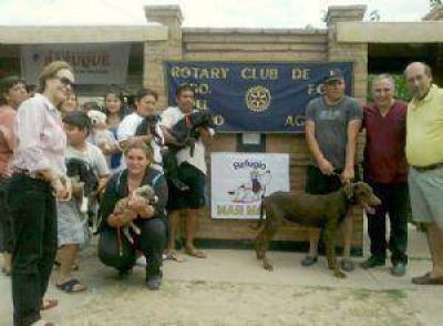 Rotarios brindaron atenci�n veterinaria gratuita en barrio
