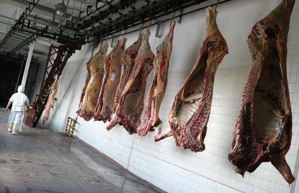 La Cooperativa Recuperar ya tiene habilitaci�n para gestionar el exfrigor�fico Sadowa